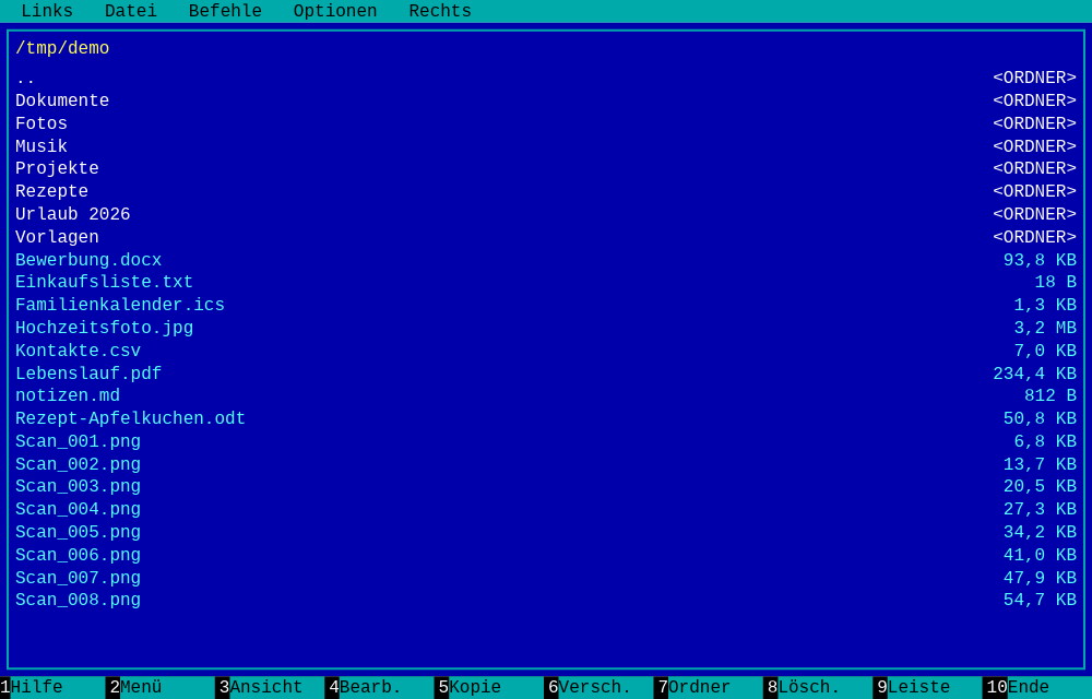 Der Fährmann mit einem Panel, das Ordner in Weiß und Dateien in Türkis mit Größenangaben auflistet
